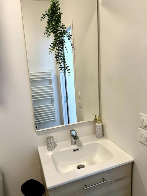 Le Romy Apartment Toulouse Exterior foto